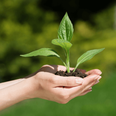 Agriculture, Forestry and Farming